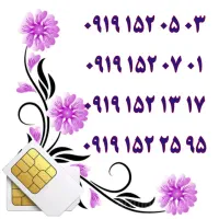 0913.543.2008|سیمکارت|کرمان, |دیوار