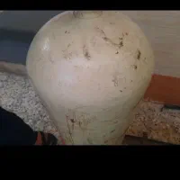 کپسول سی ان جی پژو با رگلاتور