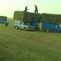 ذرت علوفه کاه یونجه پرس یونجه جو سویا