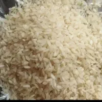 برنج کامفیروزی  به شرط پخت  عالی