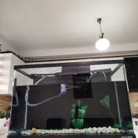 آکواریوم سالم و بزرگ شرکتی در بیدستان|ماهی|محمدیه-قزوین, |دیوار