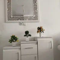 جاکفشی