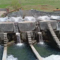 نیازمند کارگر|استخدام صنعتی، فنی، مهندسی|شهرکرد, |دیوار