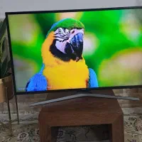 تلویزیون الیدی 43 سامسونگ فول هوشمند|تلویزیون و پروژکتور|تبریز, |دیوار