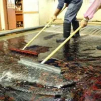 قالیشویی تاج شستشوی متفاوت کل شهر