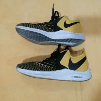 NIKE WINFLO ZOOM