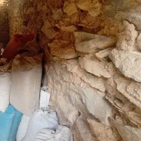 فروش،کود گوسفندی خورد شده وخشک