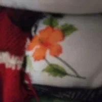 رختخواب. دوشک