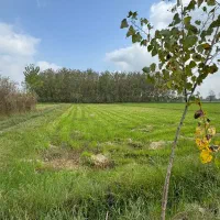 زمین کشاورزی ۲۰۰۰ متری نزدیک خانه ،سنتی،مناسب درخت