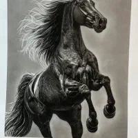 آموزش نقاشی سیاه قلم سبک هایپر رئال|خدمات آموزشی|کرج, شهرک اوج|دیوار