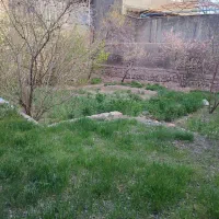 خانه-باغچه-سبز-در-روستایی-خنک-و-پرآب