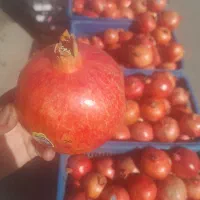 انار با کیفیت ساوه