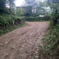 باغ مرکبات و چای ، واجارگاه ، گیل ملک|فروش زمین و ملک کلنگی|واجارگاه, |دیوار