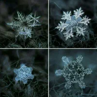 استخدام کاریابی مدلینگ