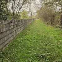 7700 متر زمین باغی مناسب گلخانه رودسر شکرپس|فروش زمین و ملک کلنگی|املش, |دیوار