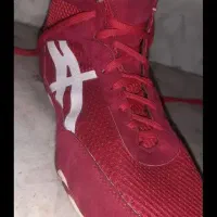 کفش کشتی اسیکس