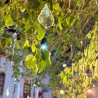 کافه رستوران عمارت ضیغمی