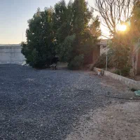 زمین