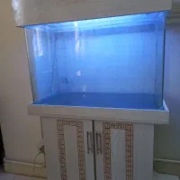 آکواریم