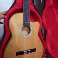 گیتار حرفه ایی سولارس