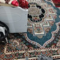 لوازم خانه|سایر لوازم برقی|قرچک, پویینک|دیوار