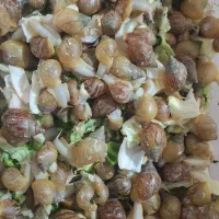 حلزون با کیفیت