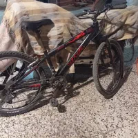 دوچرخه حرفه ای ویوا