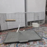 قفس پرنده