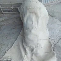 فروش پالان الاغ|لوازم جانبی حیوانات|گلپایگان, |دیوار