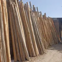 خرید فروش چوب