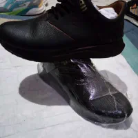 کفش کتونی چرم