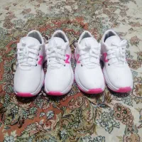 کفش دخترانه|کیف، کفش، کمربند|سیلوانه, |دیوار