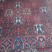 فرش دستباف|فرش|اصفهان, شاهزید|دیوار