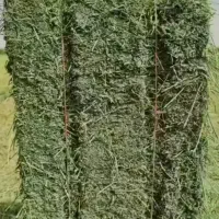 پرس یونجه چن چهارم