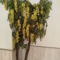 گل زیبا