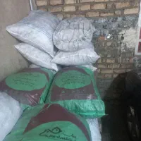 ذخال|کوهنوردی و کمپینگ|نورآباد, |دیوار