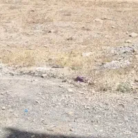 فروش زمین مسکونی خوش جا و با تمام امکانات