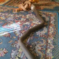 به عکس نگاه کنید