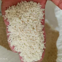 برنج طارم هاشمی/مایل ب معاوضه پیکان وانت|خوردنی و آشامیدنی|تهران, امام حسین|دیوار