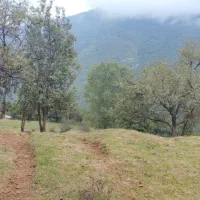 فروش ۱۰۰۰ متری