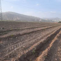 فروش و معاوضه زمین باغی سند دار