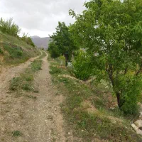 زمین-کشاورزی
