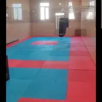 تکواندو ستارگان الفا