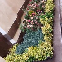 خدمات باغبانی هرسکاری گل کاری درتمام نقاط تهران و.|خدمات باغبانی و درختکاری|تهران, تهرانپارس شرقی|دیوار