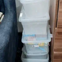ظرف نگهدارنده سطل زباله استیل آینه چهارپایه