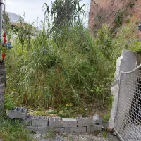 زمین ساحلی  لب دریا فریدونکنار  یه پلاک ۱۰۰ متری