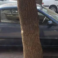 سمند موتور ملی مدل۹۱ دوگانه کارخانه تصادفی|خودرو سواری و وانت|ارومیه, |دیوار