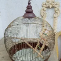 قفس پرنده|لوازم جانبی حیوانات|رشت, دروازه لاکان|دیوار