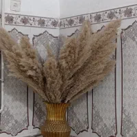 گل و گلدان