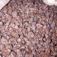 مویزمحلی شیراز کلیوی 150000